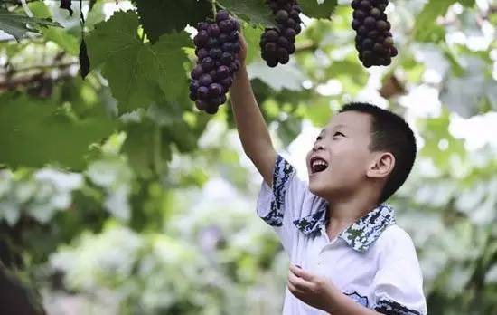 006eb1b2bce647a28de899d13773ace5_th.jpg 006eb1b2bce647a28de899d13773ace5_th.jpg